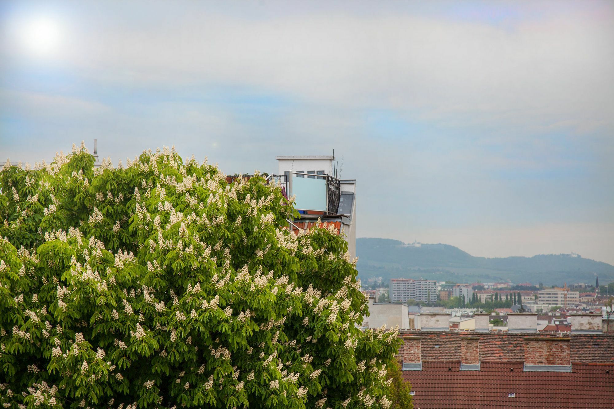 Cube70 Aparthotel Vienna Luaran gambar